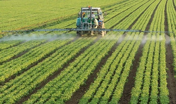 La giornata Mondiale dell’alimentazione