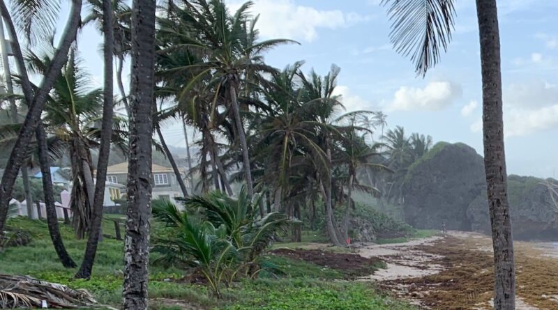 Le Barbados contro i cambiamenti climatici, che ora sono anche cambiamenti politici