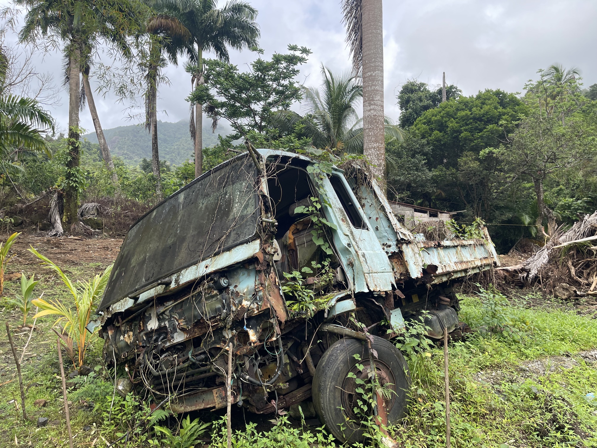 Auto abbandonate ai Caraibi, le sinistre “nature morte” della nostra civiltà.